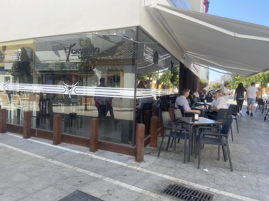 Castaño Santa Ana