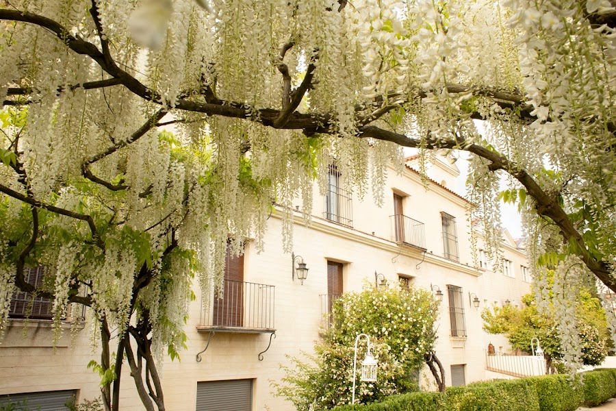 Hotel Posada del Moro